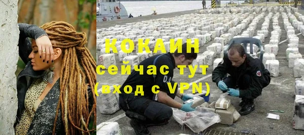 прущий лед Богданович