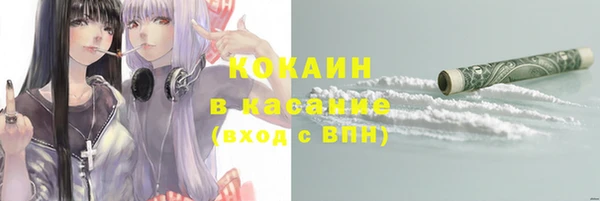 прущий лед Богданович