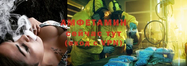 индика Белокуриха