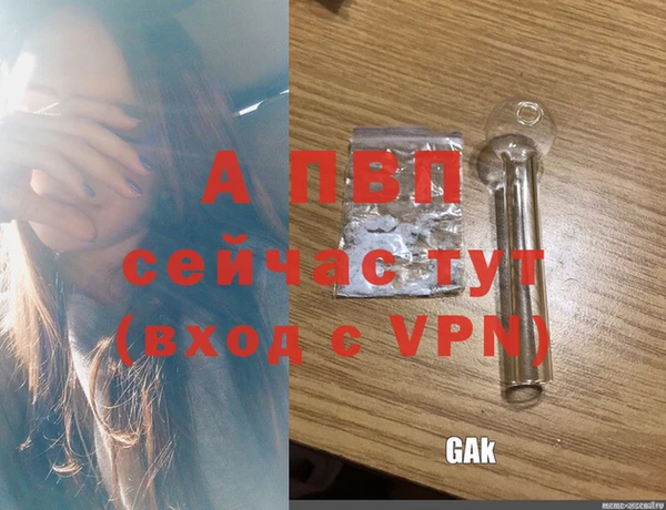 jwh Богородицк