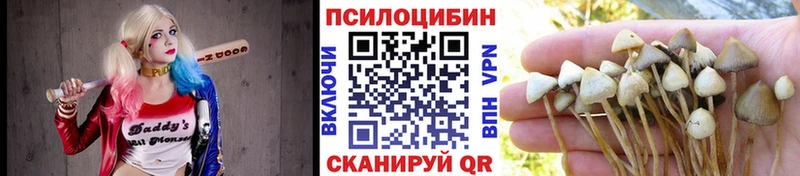цены наркотик  Гороховец  Псилоцибиновые грибы ЛСД 